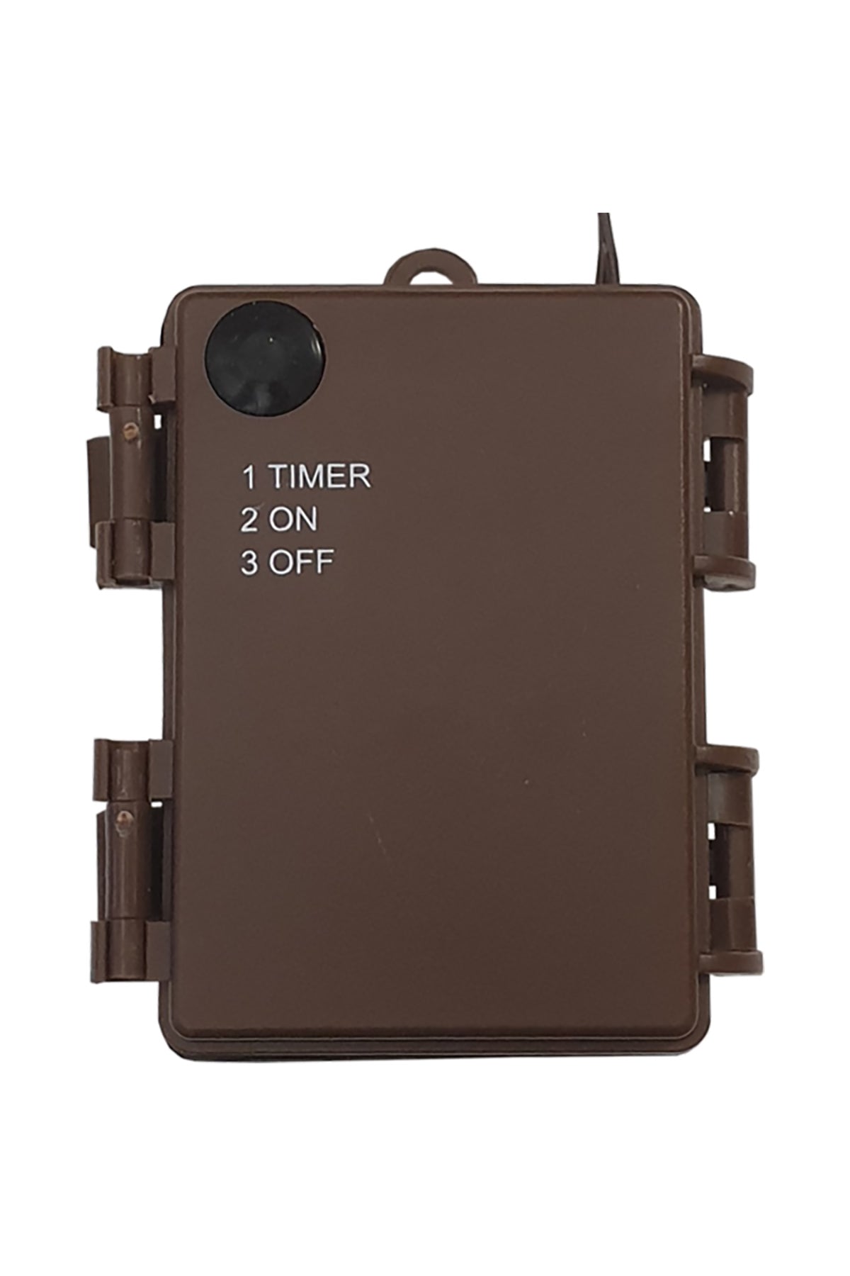 Leuchtgirlande Olive | 180cm, Innen & Außen