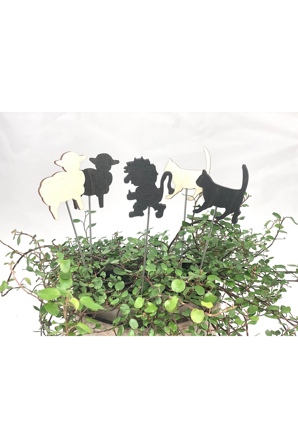 Probierstick für Essen, schwarz | 15cm